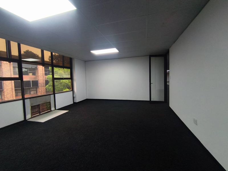 A bright, vacant office space featuring dark carpeting, a suspended ceiling with recessed lighting, and large windows providing natural light.