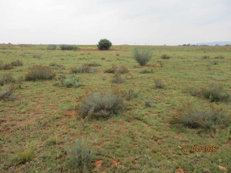 Enjoy the tranquility of Henley - Photo 4