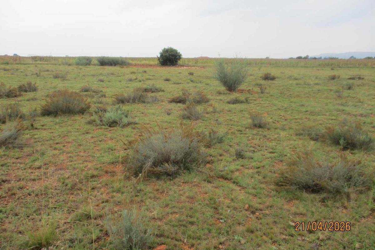 Enjoy the tranquility of Henley - Photo 4