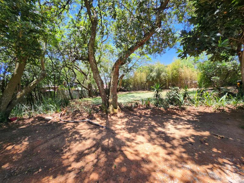 A spacious, mature garden area featuring established trees, landscaped greenery, and a boundary wall, offering a private outdoor setting.
