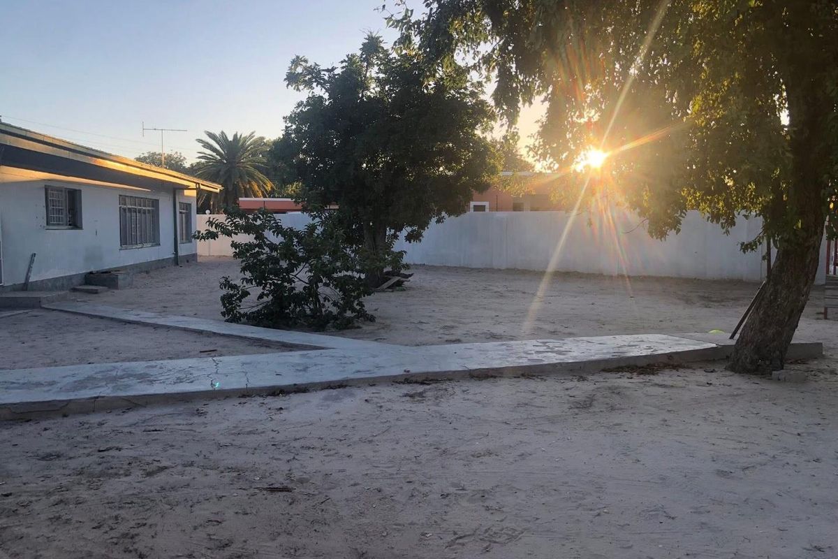Rear exterior view of the property featuring a concrete pathway, perimeter wall, and large mature trees in a sandy yard.