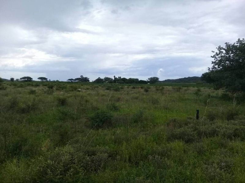 FOR SALE - PRIME 25 HA IRRIGATION PLOT FOR SALE IN TSUMEB DISTRICT - Photo 2