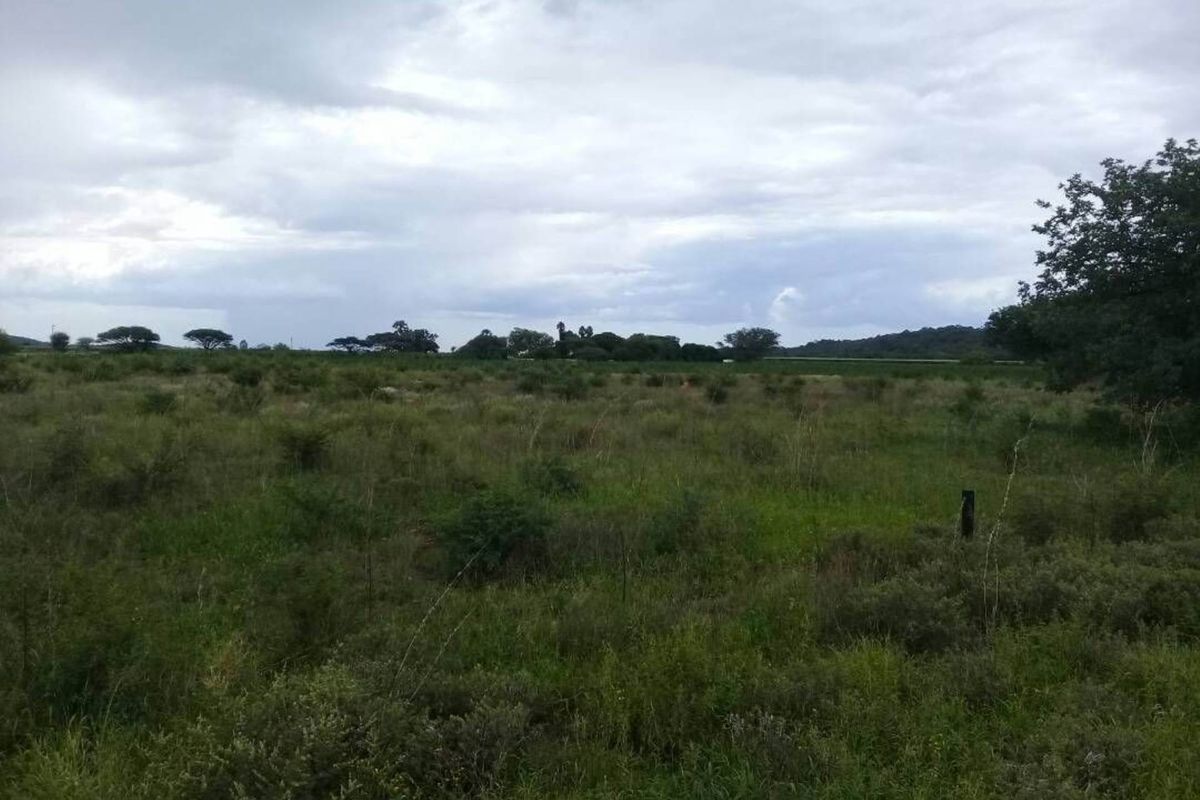 FOR SALE - PRIME 25 HA IRRIGATION PLOT FOR SALE IN TSUMEB DISTRICT - Photo 2