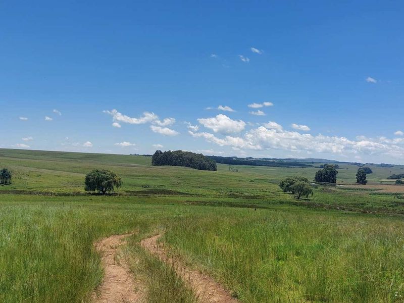 600ha Multi-Income Farm & Lifestyle Estate – Belfast / Dullstroom Area - Photo 2