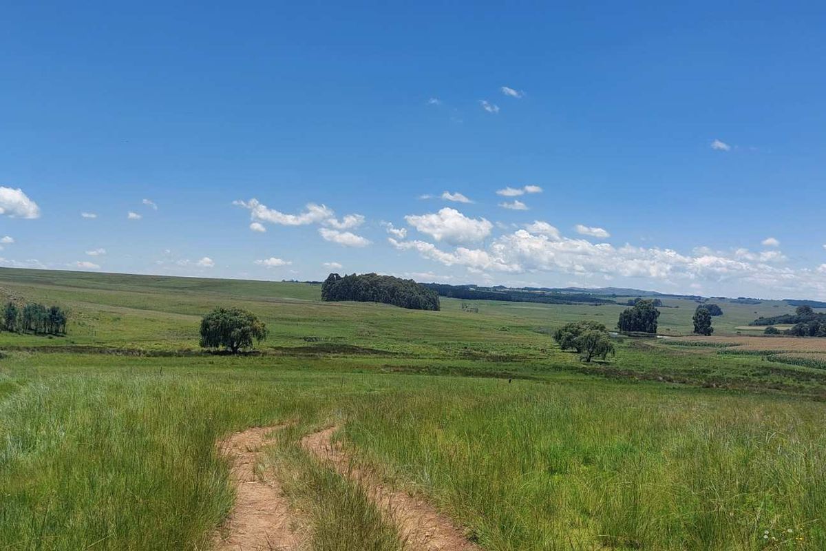 600ha Multi-Income Farm & Lifestyle Estate – Belfast / Dullstroom Area - Photo 2