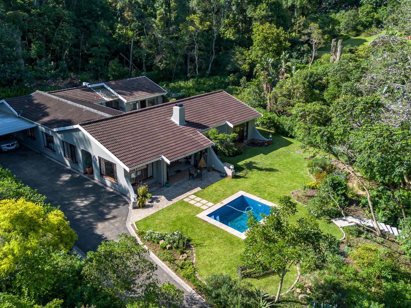 A HOME CURATED FOR LIVING, GATHERING AND GROWING IN THE HEART OF KLOOF! - Photo 2