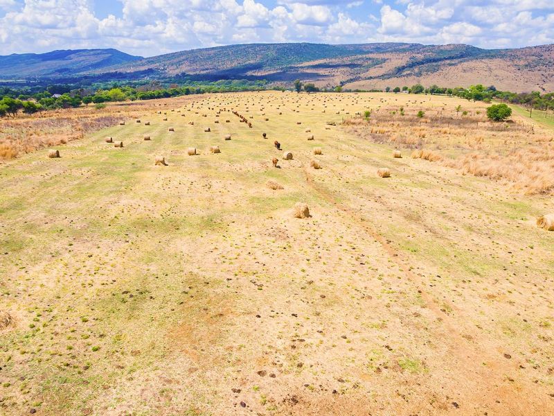 Exceptional 44-Hectare Agricultural , Multiple living, Farm for Sale – Hekpoort - Photo 6
