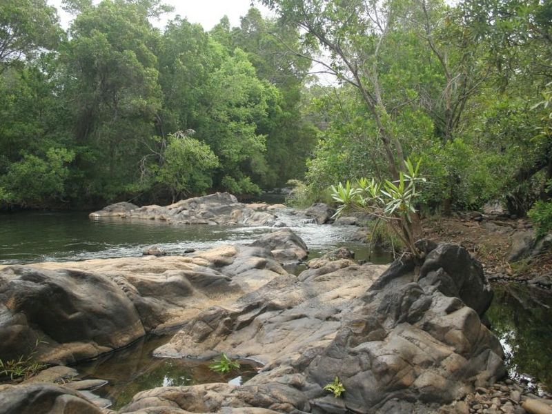 Alluring riverfront stand for sale. - Photo 4