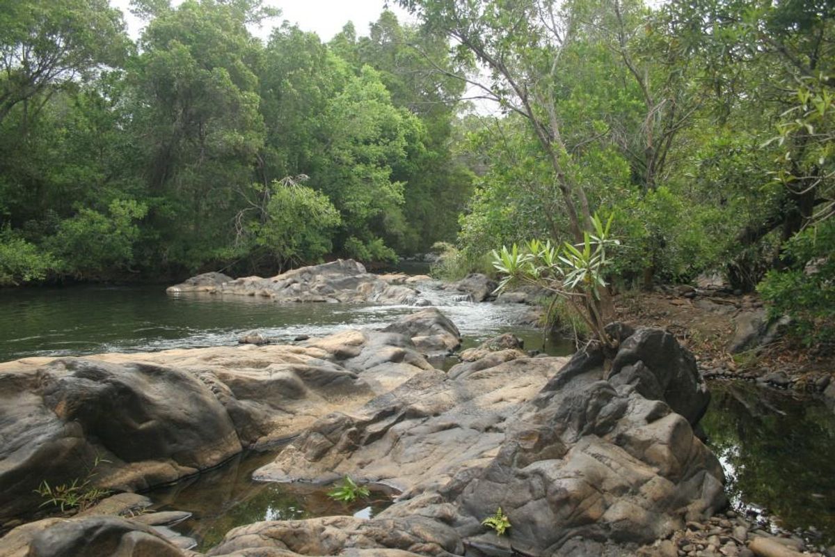 Alluring riverfront stand for sale. - Photo 4