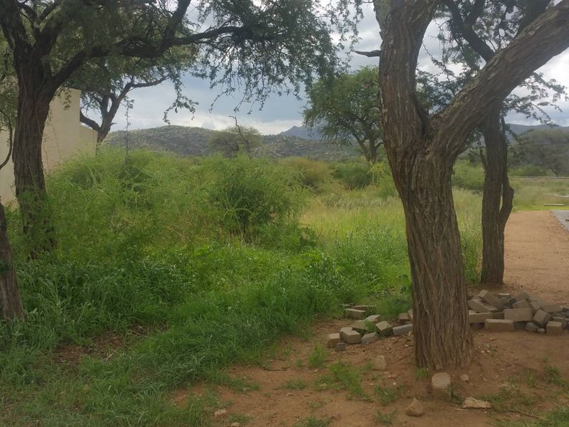 A view of a natural, undeveloped residential plot featuring mature trees and native vegetation with mountain views in the background.