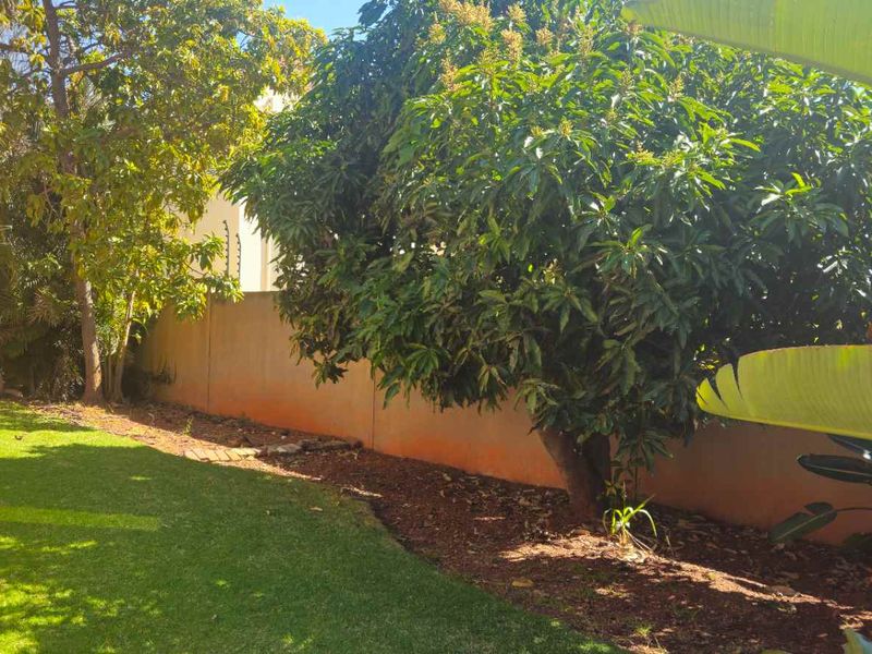 A private rear garden area featuring a lawn, mature trees, and a perimeter boundary wall.
