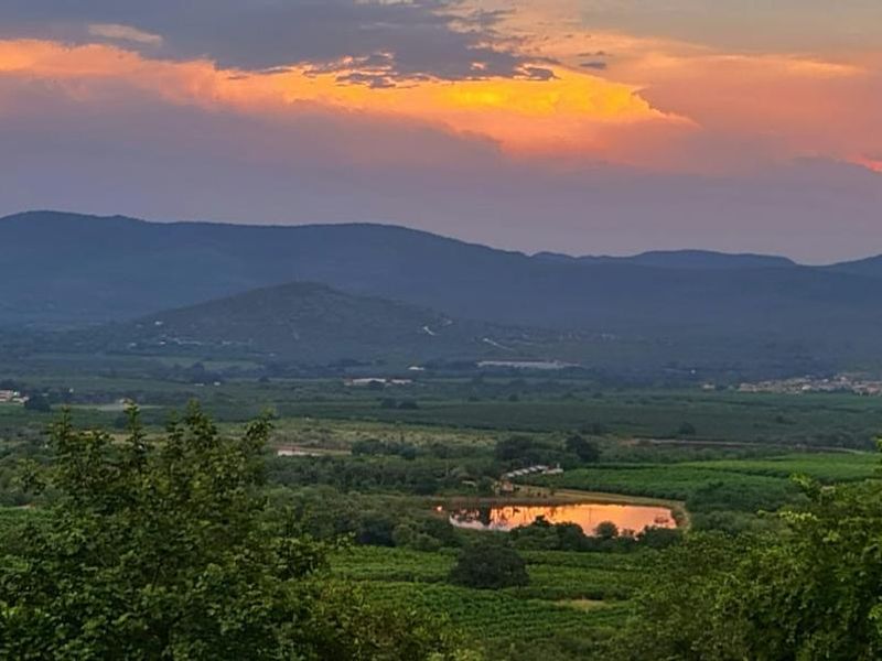 Bushveld Lifestyle Farm - Photo 4