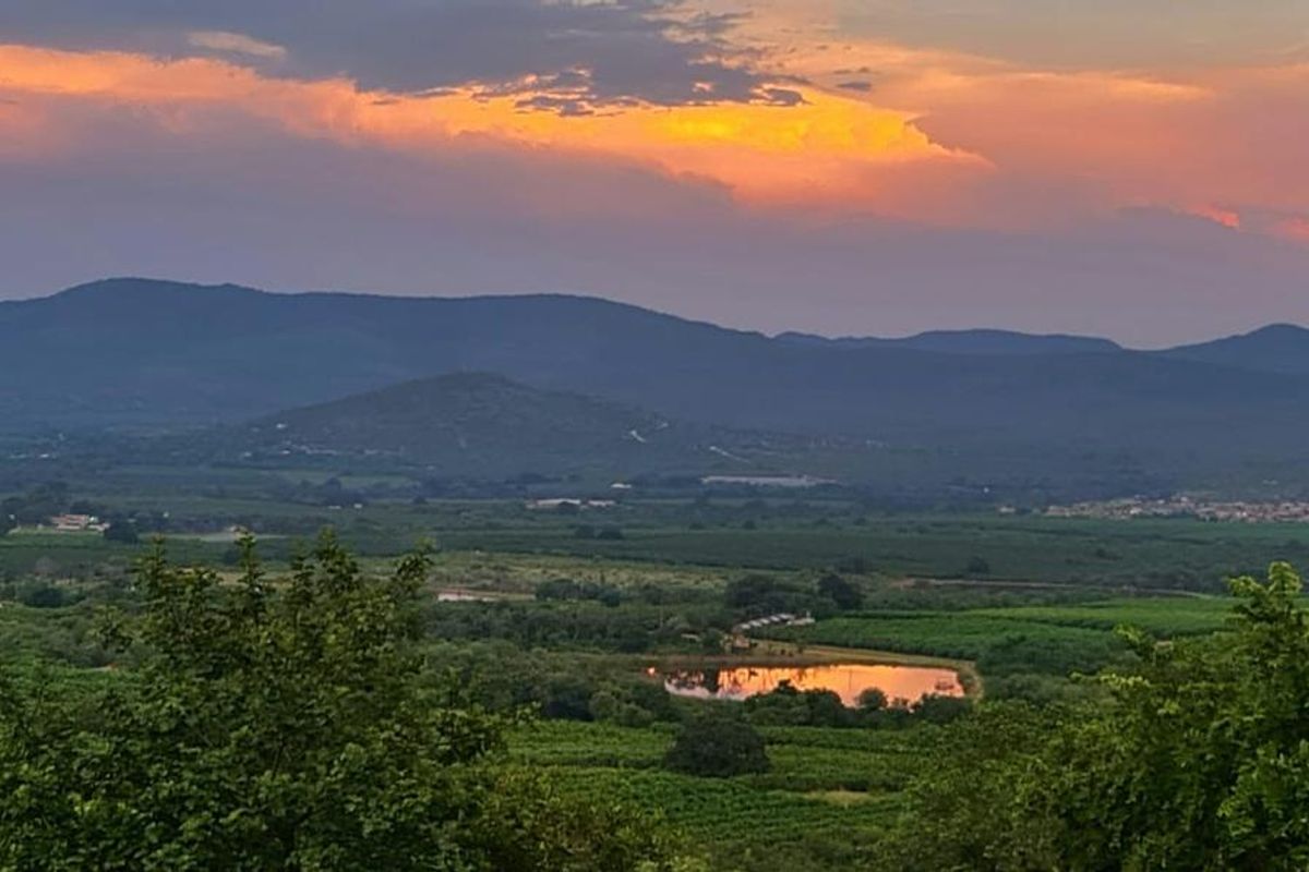Bushveld Lifestyle Farm - Photo 4