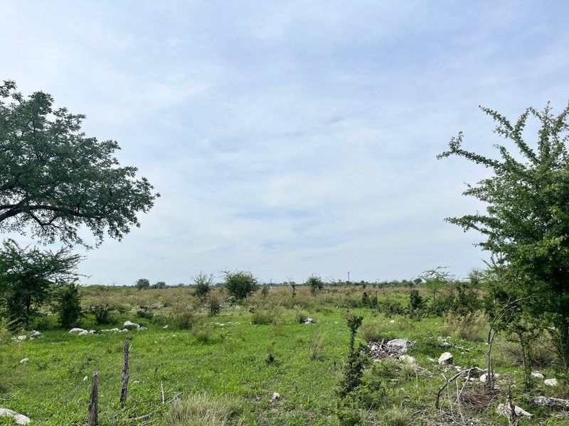 CALLIE’S GAME LODGE | EXCEPTIONAL HOSPITALITY & WILDLIFE INVESTMENT NEAR TSUMEB - Photo 5