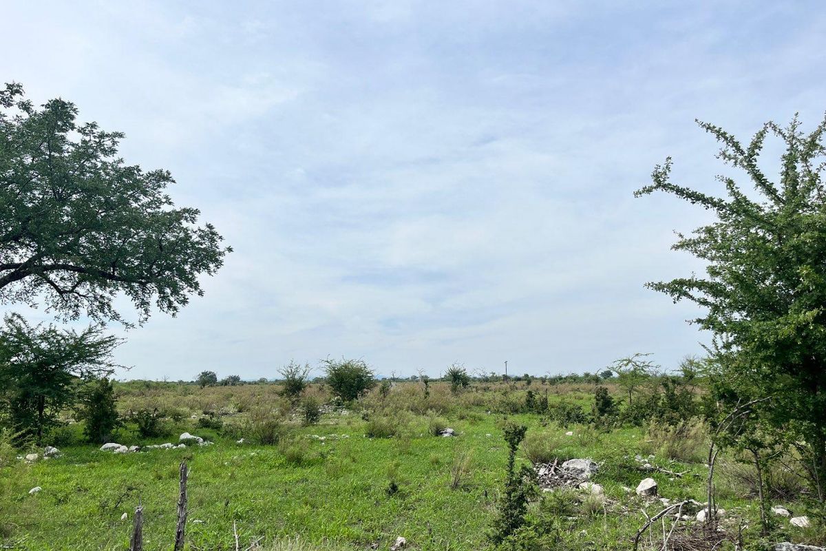 CALLIE’S GAME LODGE | EXCEPTIONAL HOSPITALITY & WILDLIFE INVESTMENT NEAR TSUMEB - Photo 5