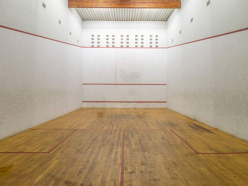 A dedicated indoor squash court featuring timber flooring and high-walled boundaries, suitable for recreational sports and fitness activities.