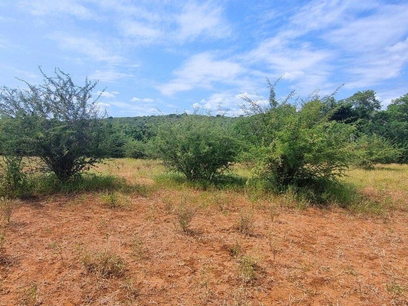 Vacant Stand in Elephant Rock Eco Estate - Photo 3