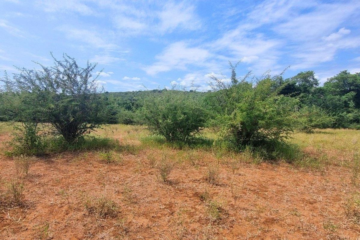 Vacant Stand in Elephant Rock Eco Estate - Photo 3