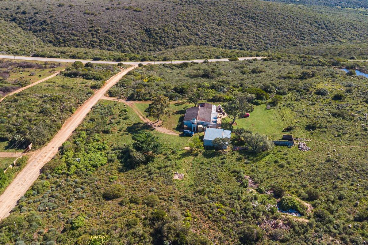 Fertile Soil & Endless Views – An Agricultural Dream Near Uitenhage. - Photo 2