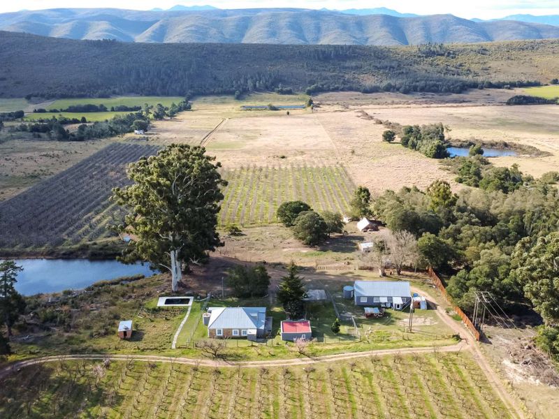 Grootnek Guest Farm – Krakeel River, R62 Eastern Cape - 46.492 ha - Photo 3