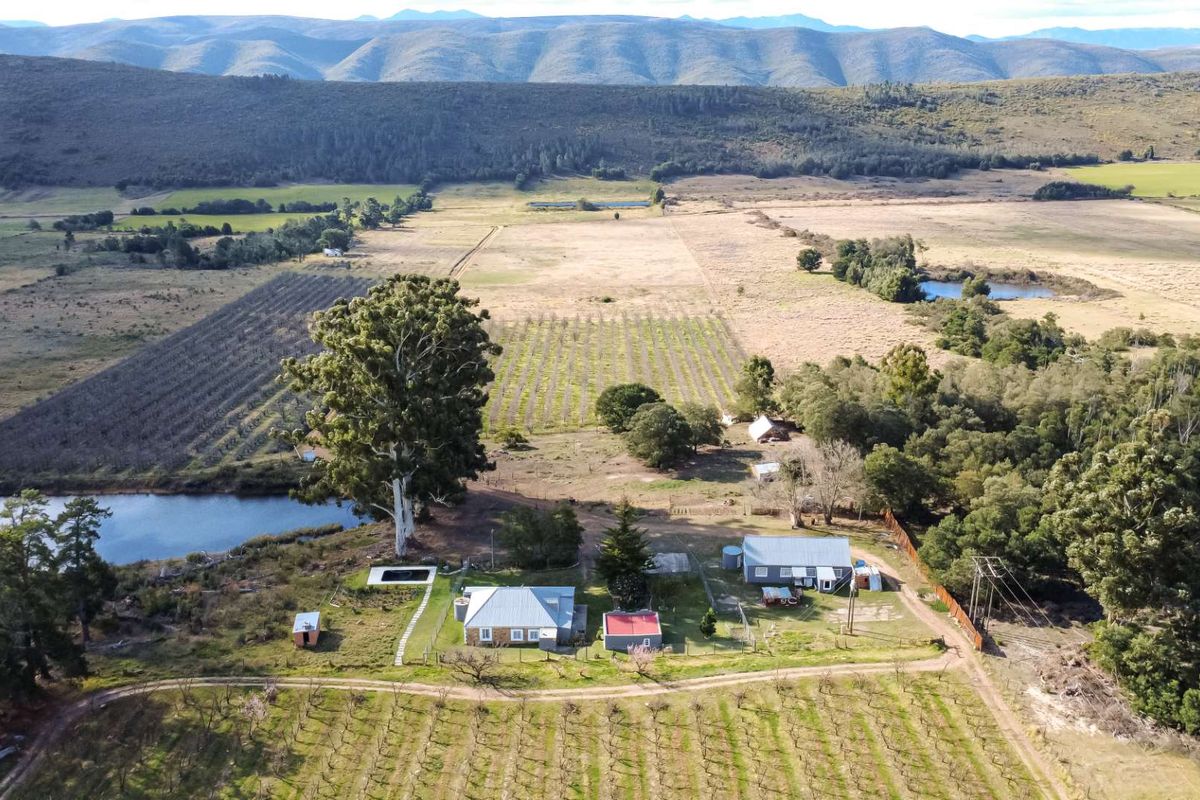 Grootnek Guest Farm – Krakeel River, R62 Eastern Cape - 46.492 ha - Photo 3