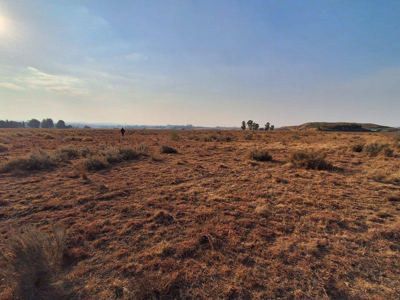 Exceptional Value - 4.9 Hectare Vacant Land - Photo 5