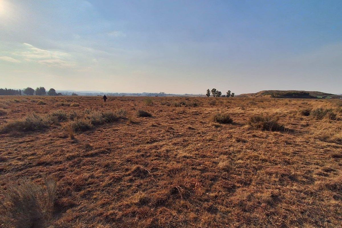 Exceptional Value - 4.9 Hectare Vacant Land - Photo 5