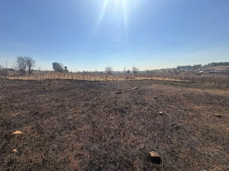 A view of a vacant residential plot showing signs of recent fire damage to the ground cover.