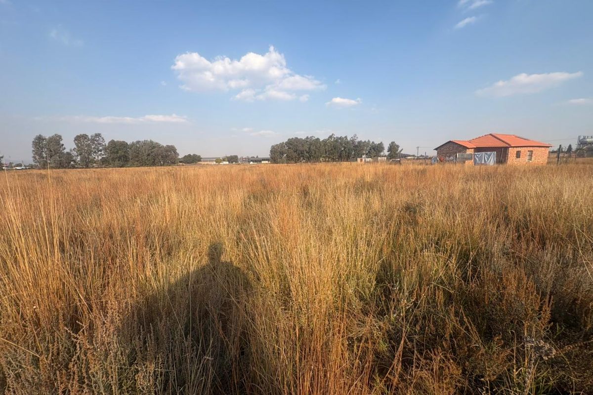 Vacant Land with Endless Potential - Photo 3