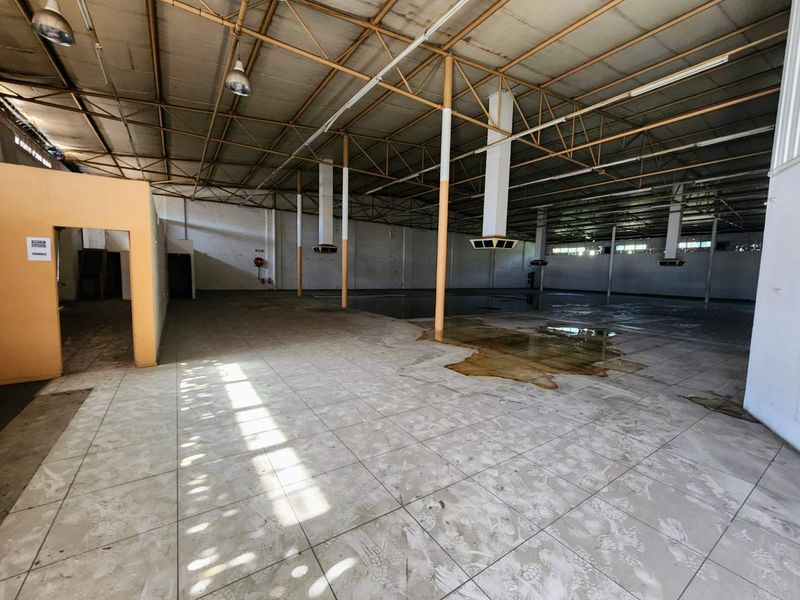 Massive 1,350 m2 Open-Plan Warehouse / Showroom on Steve Biko Road - Photo 6