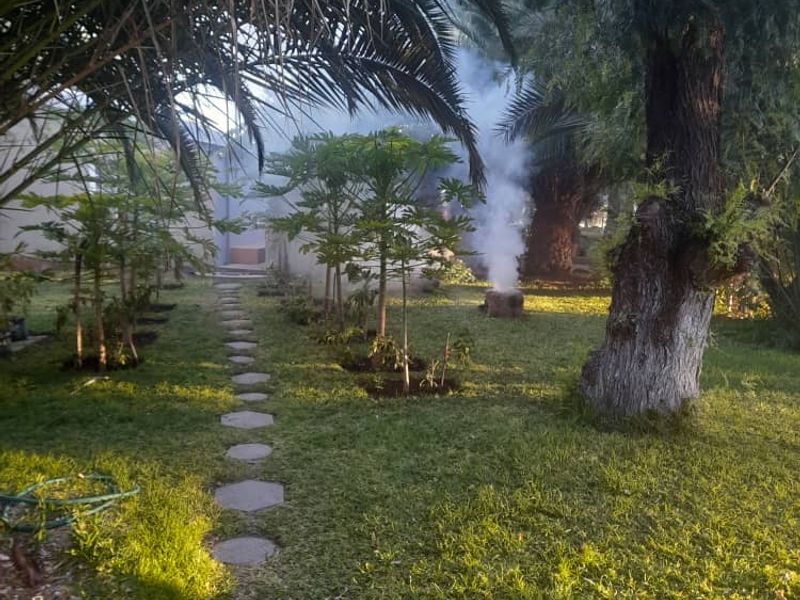 "Exceptional Farm for sale: Livestock, game & Luxury Living Combined - Photo 9