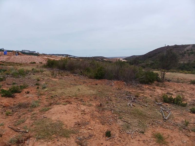 Exclusive 500m2 Stand with Dam Views in Outeniquasbosch Wildlife Estate - Photo 9