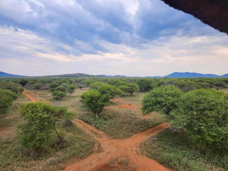 Prime Stand In Pristine Bushveld - Photo 6