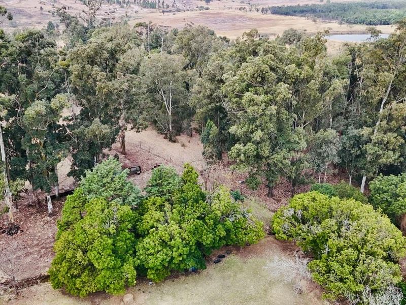 Farm for sale towards Hlobane Area - Photo 2