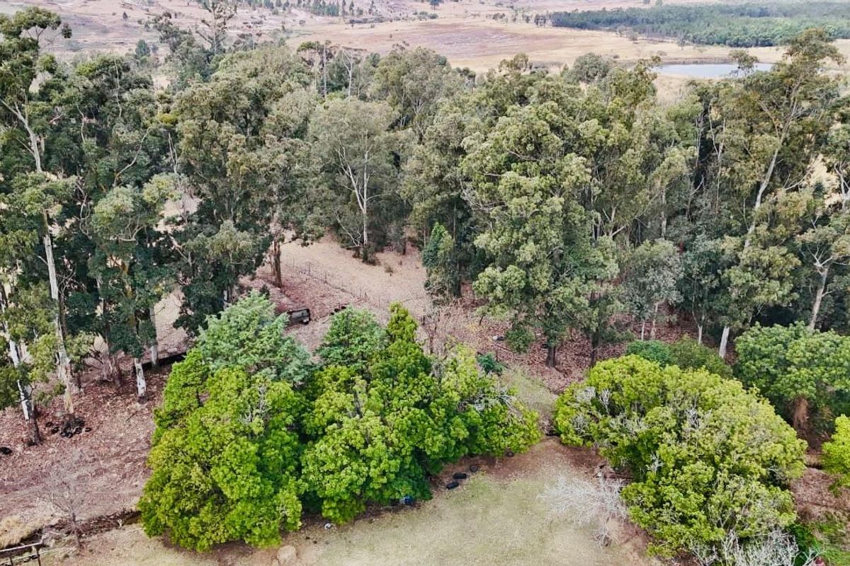 Farm for sale towards Hlobane Area - Photo 2