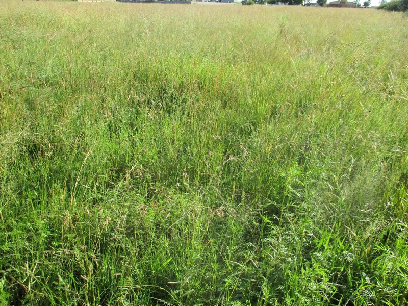 PRIME LAND AND LOCATION ! - Photo 4