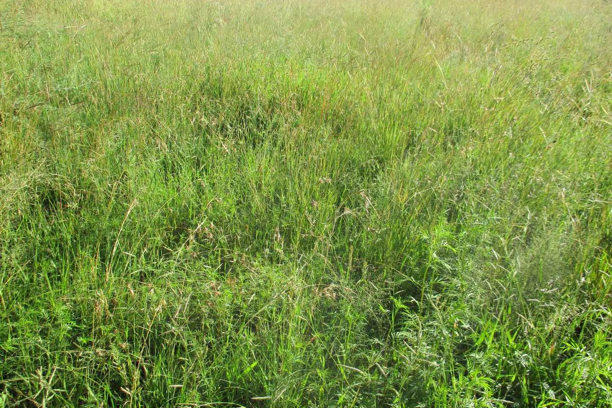 PRIME LAND AND LOCATION ! - Photo 4