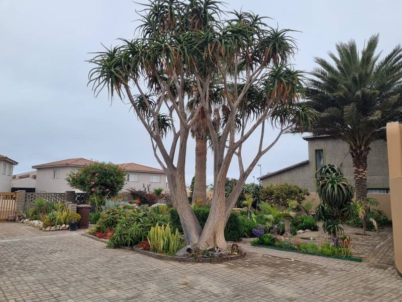 Swakopmund - House Available for Rent - N$ 30 000 Furnished (1 February 2026). - Photo 6