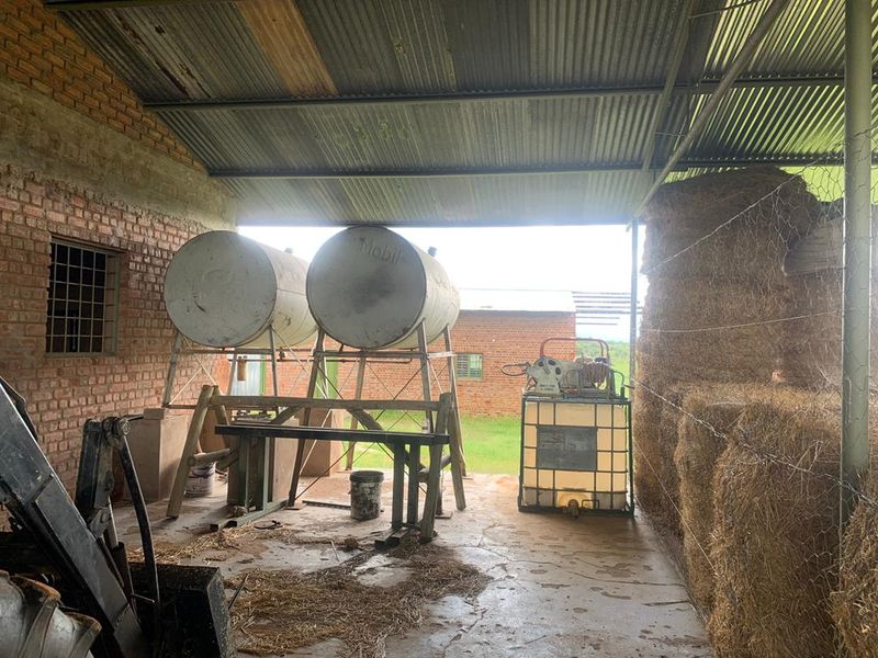 Well established game / hunting farm, Otavi - Photo 10