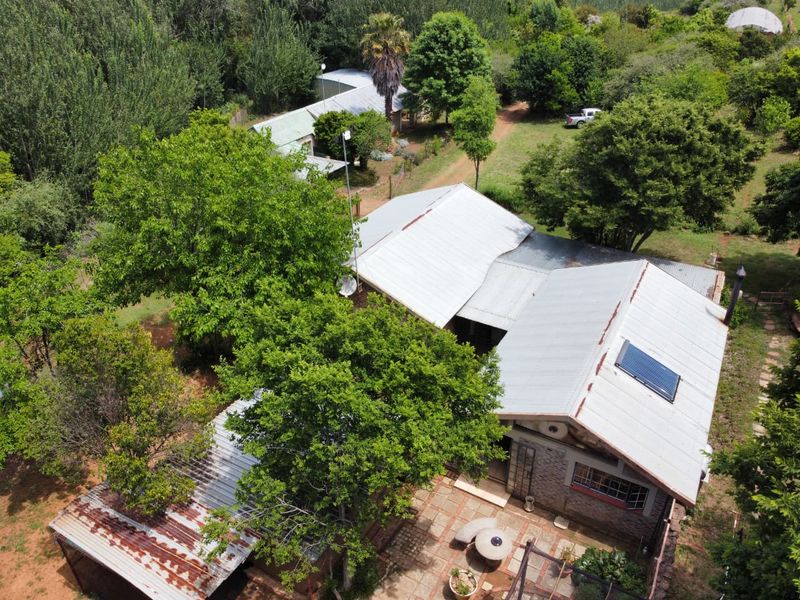 Income-Generating Smallholding with Water Security and Development Potential - Photo 9