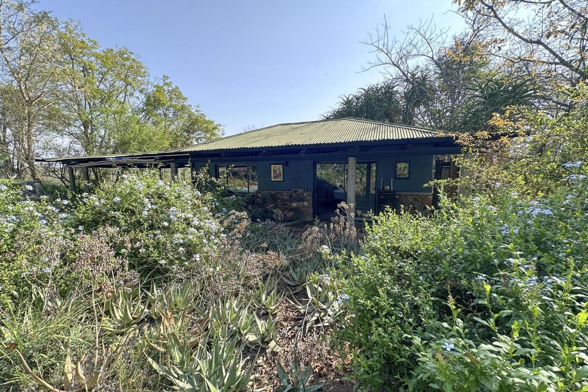A rear view of the house featuring a corrugated metal roof, stone cladding, and a covered patio area surrounded by established garden landscaping.