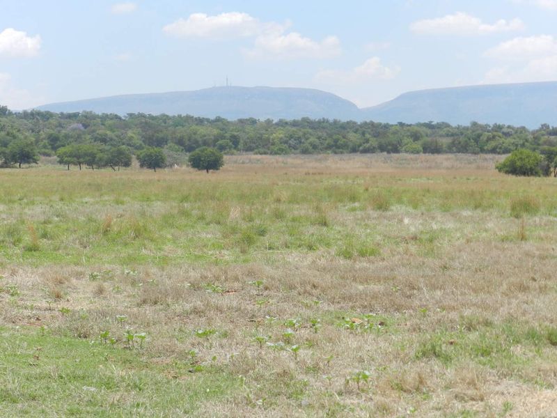 Exceptional 44-Hectare Agricultural Farm for Sale – Hekpoort (Farm 268 & 309) - Photo 6