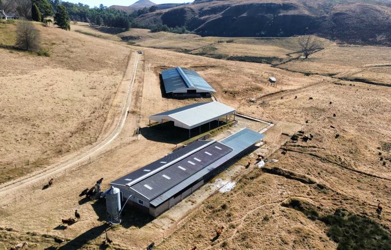 Prime 440-Hectare Agricultural Investment Near Nottingham Road