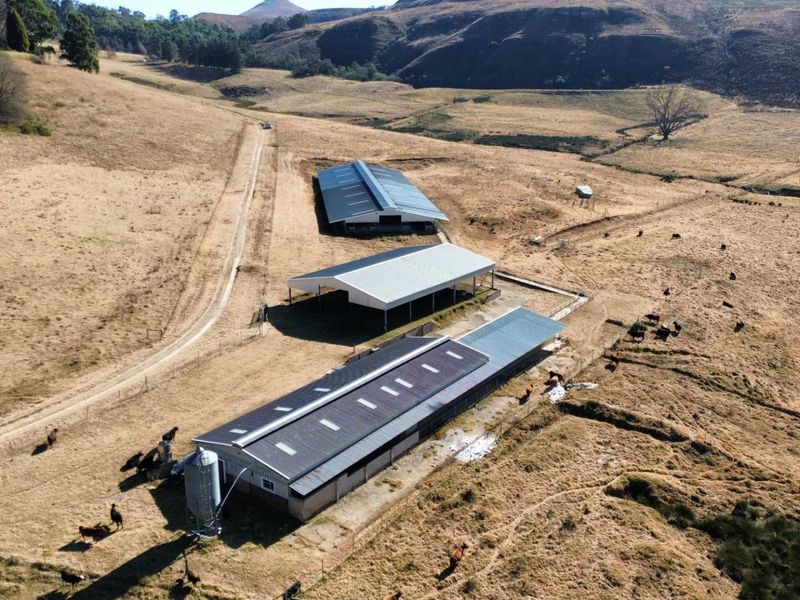 Aerial view of a farm property featuring multiple large agricultural sheds, a silo, and extensive grazing land with gravel access paths.