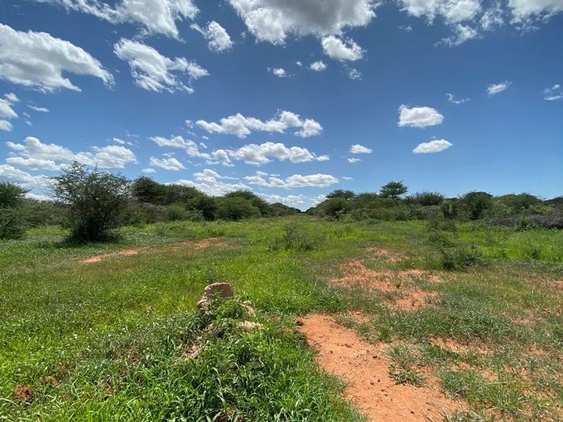 A Rare Opportunity to Own Your Dream Farmland! - Photo 2