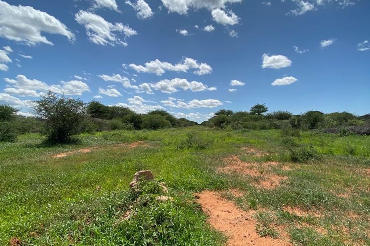 A Rare Opportunity to Own Your Dream Farmland! - Photo 2