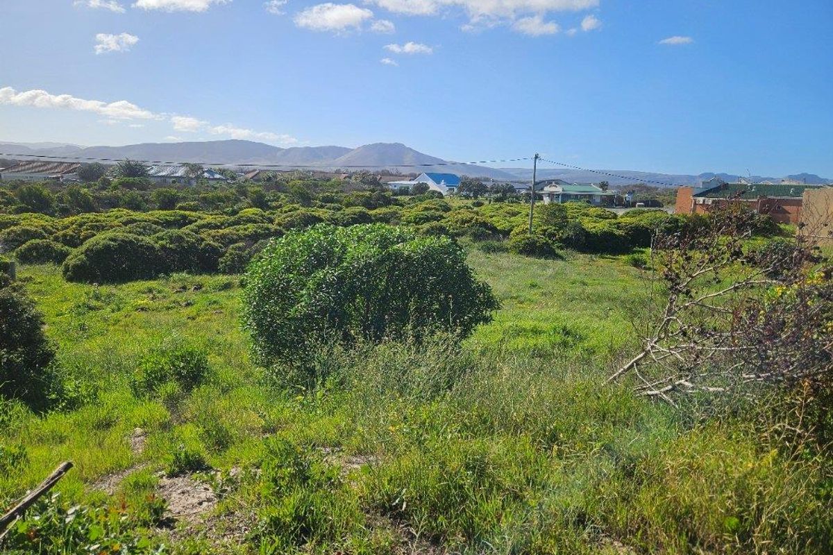 A view of the vacant commercial land featuring natural vegetation, surrounding residential neighborhood, and distant mountain scenery.