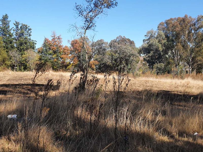 PRIME VACANT LAND IN RUIMSIG ! - Photo 5