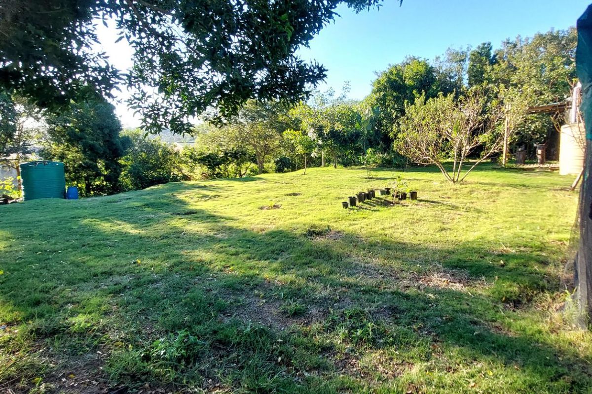 A spacious, gently sloping residential plot featuring established trees, a green water storage tank, and a shaded nursery area.