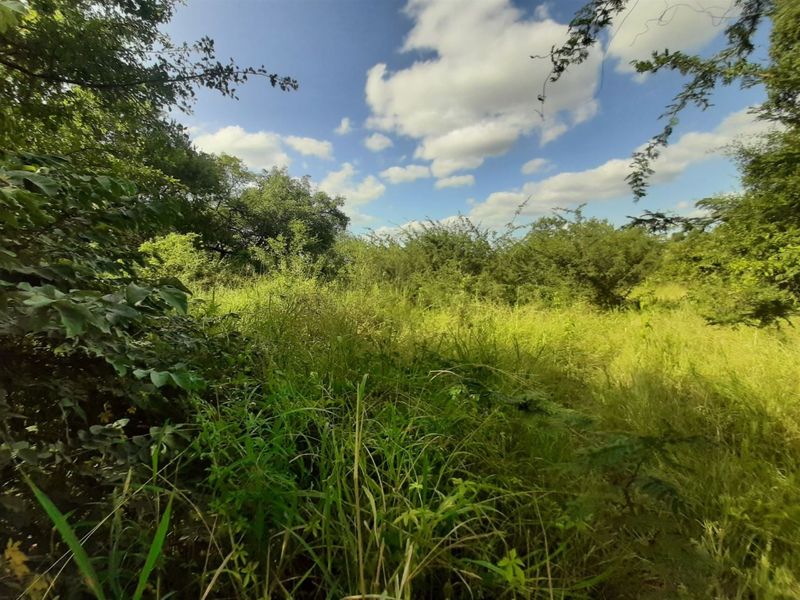 Stand for sale in Gravelotte - Photo 3